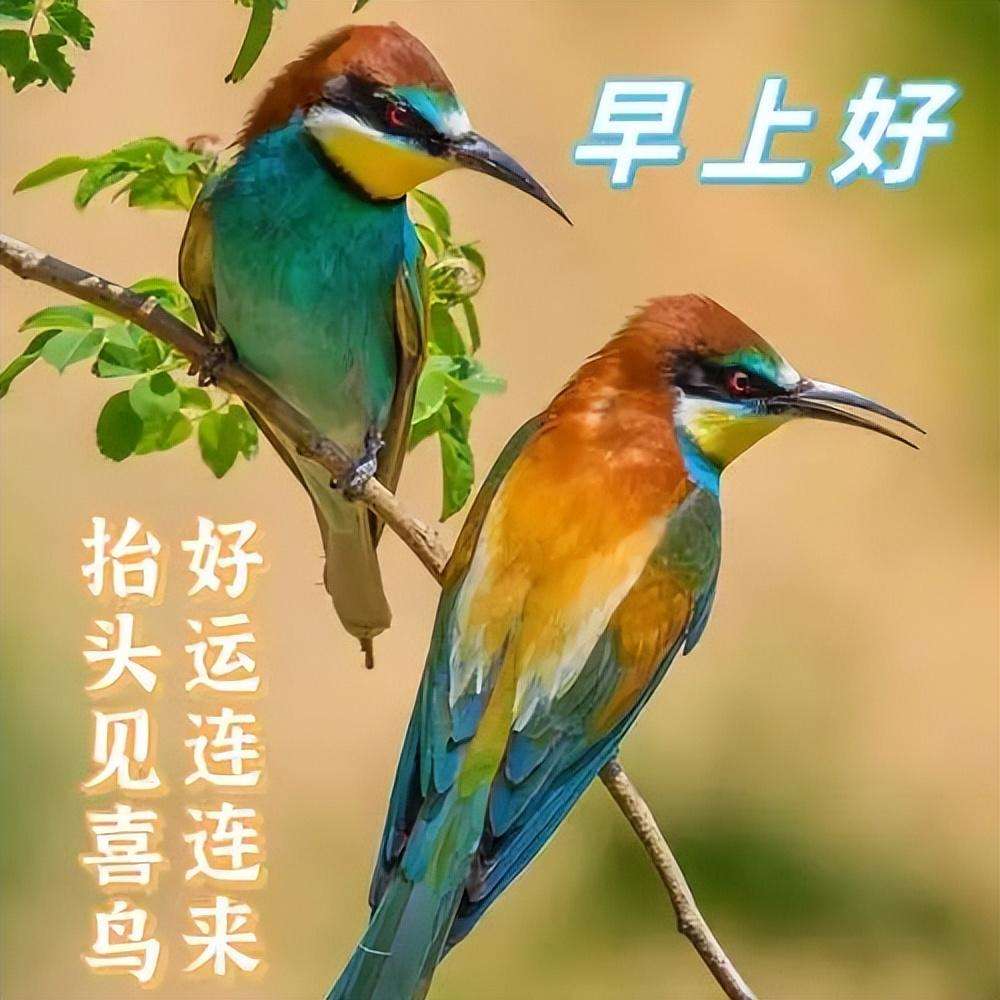 望你平安健康的句子(暖心早上好问候语)