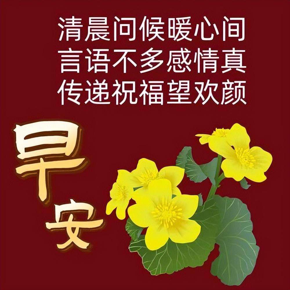 望你平安健康的句子(暖心早上好问候语)