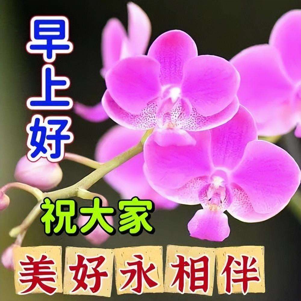 望你平安健康的句子(暖心早上好问候语)